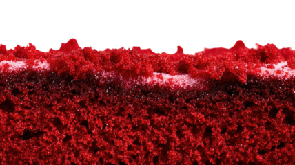 Red carpet walkway with elegant texture creating a formal event entrance scene ideal for photography isolated on white background