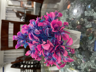 a beautiful pin and purple flower photo click by still