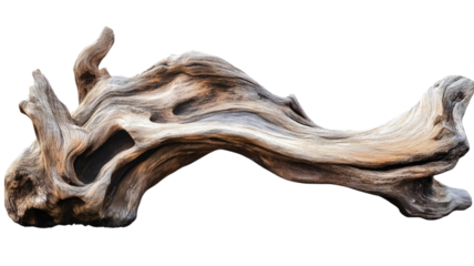 Dynamic driftwood piece with rugged weathered texture and organic twisted form captured in detailed natural close up isolated on white background