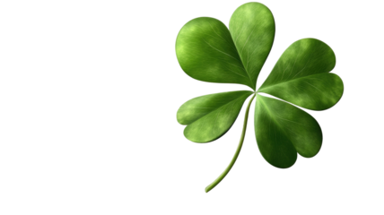 Four leaf clover rare green lucky foliage botanical charm symbol isolated on white background