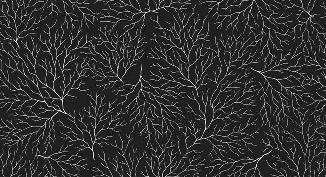 Intricate seamless pattern of white organic branching lines on a black background, resembling roots, veins, or coral structures.