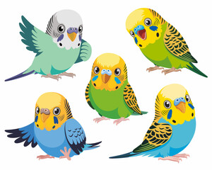 Five colorful cartoon budgies collection, happy green and blue parakeet birds set, isolated vector illustration design element for pet care marketing, whimsical exotic animal characters, educational g