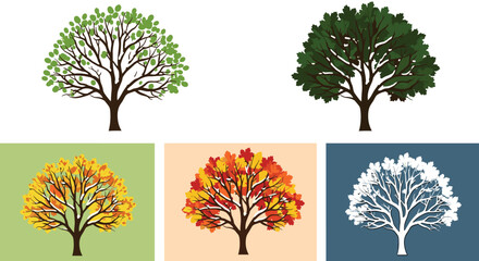 Obraz premium Beautiful collection of a single tree illustrated through the four seasons: spring, summer, autumn, and a winter silhouette.