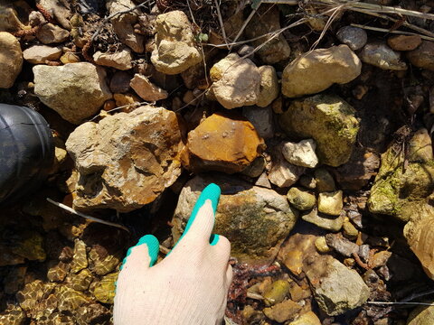 Explorer's gloved hand points to reddish flintstone among sunlit river rocks and clear shallow water, geological discovery
