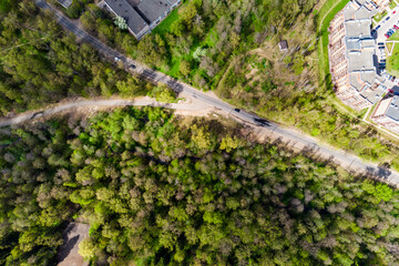 Aerial view of lush green spring forest meeting suburban sprawl, featuring a winding asphalt road slicing through the vibrant canopy