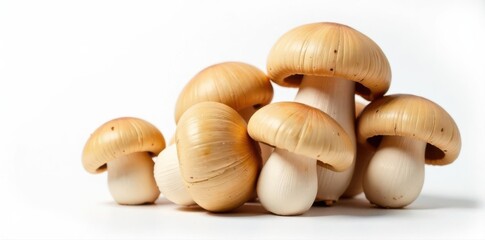 Fototapeta premium Beautiful bunch of oyster mushrooms, studio shot, pure white backdrop, fresh, close-up, vegetarian
