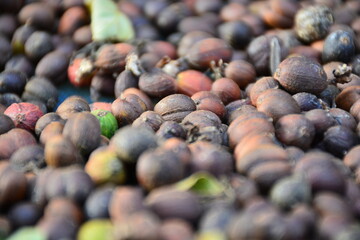 Well, the coffee beans are drying.