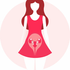 Illustration of a woman with a reproductive system inside her dress