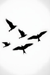 Fototapeta premium Flying Bird Silhouettes in Formation on White Background