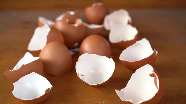 eggshells after being cleaned to be used as organic fertilizer