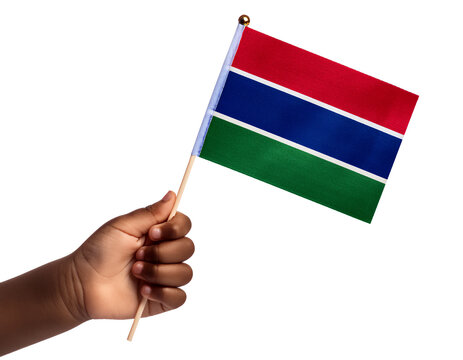 子供の手が小さなガンビアの国旗を持っている。(Child's hand holding a small Gambia flag.)
- Powered by Adobe