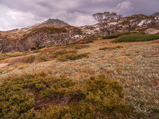 Scenic View Mountains Kosciuszko National