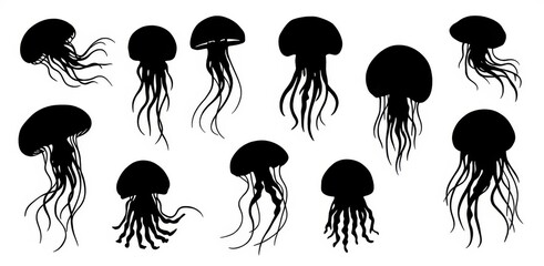 Jellyfish silhouettes with flowing tentacles on white background