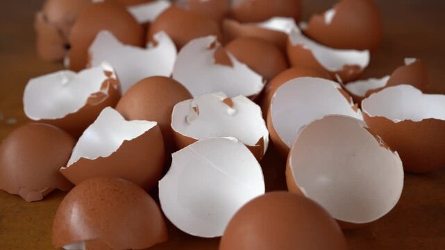 eggshells after being cleaned to be used as organic fertilizer