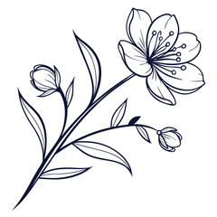 black and white flowers