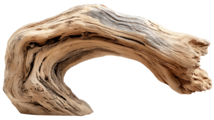 Smooth curved driftwood piece with light brown natural texture and organic shape detailed on white background