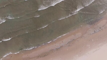 Aerial view of peaceful waves on sandy Nickel Beach, serene and calming