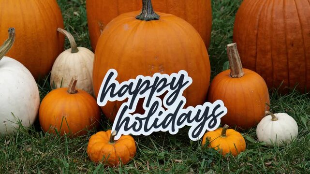 Person sets down the words Happy Holidays on Pumpkins at a Pumpkin Patch in the Fall 4k Video Stock Footage