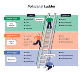 Polyvagal ladder doodle showing regulation vs dysregulation across ventral, sympathetic, and dorsal states, ladder, arrow, and figures illustrate ascent toward safety. Doodle style diagram