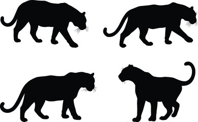 Big cat silhouette vector, panther walking pose, leopard standing graphic, wild animal clipart, black feline icon, isolated design