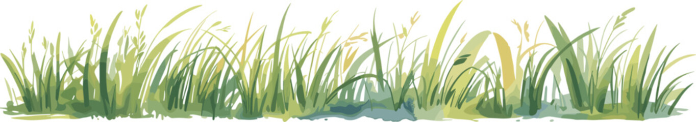 Natural meadow grass border illustration, green wild grass vector design with foliage and stems for landscape decoration, cad drawing flat vector illustration