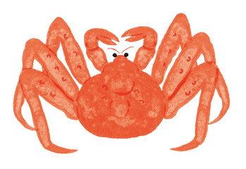 手描き風のタラバガニイラスト（海産物・冬の味覚）