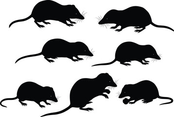 Rodent silhouette vector, mouse and rat poses, walking crouching standing clipart, black animal graphic, isolated wildlife icon set