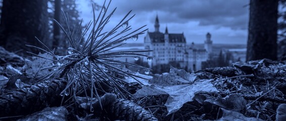 Pine needles and castle in the forest during cloudy weather