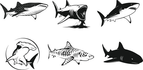 Shark silhouettes of whale, great white, hammerhead, tiger, and bull species in six cartoon poses, marine predator illustration, white background