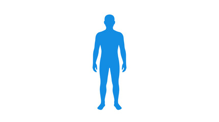 Blue Human Silhouette Standing Upright on a White Background.
