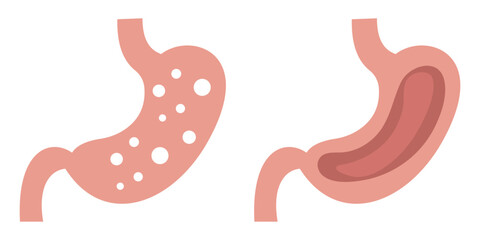 Stomach Anatomy Icons Pack &ndash; Medical Digestive System Organ Silhouette Collection vector illustration.
