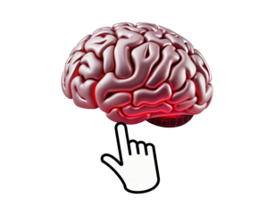 Digital Brain Interaction