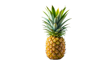 Single ripe whole pineapple with vibrant green crown against a stark for design