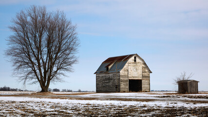 Farm Outbuilding and Leafless Tree in a Snow-Covered Winter Field
