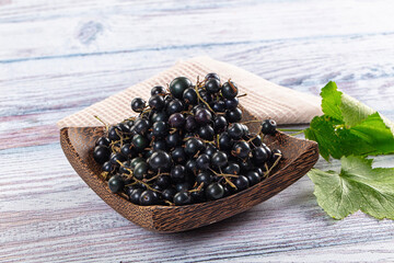 Ripe fresh black currants branches