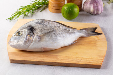 Raw fresh uncooked dorada fish