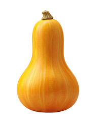 Raw butternut squash gourd with transparent background
