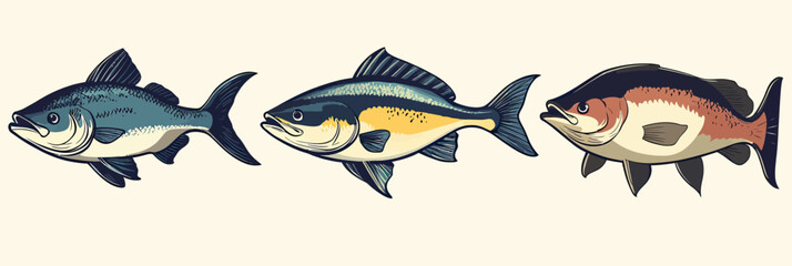 Set of three detailed freshwater fish illustrations including largemouth bass, bluegill, and crappie in realistic style isolated on light background design vector