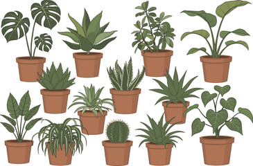 Collection of indoor potted plants illustration featuring tropical houseplants, succulents, cacti, leafy greenery in terracotta pots for home decor design