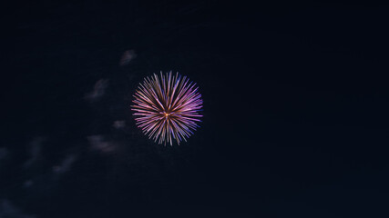Vivid Pink and Purple Firework Burst in Night Sky