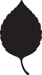 Simple black silhouette of a deciduous leaf with serrated edge