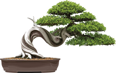 Detailed bonsai tree illustration featuring twisted trunk, lush green foliage, decorative pot, natural botanical art designed for vector artwork, landscaping and zen themes