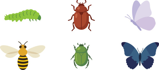 Insect life cycle stages illustration with butterfly and bee