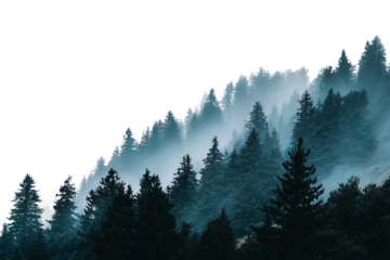 Early morning fog in nature isolated on transparent background
