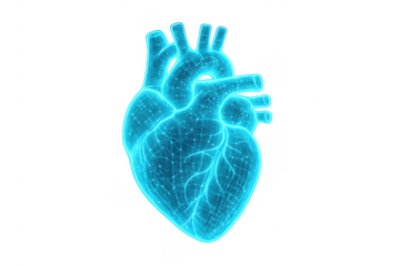 Human heart hologram wireframe medical technology concept