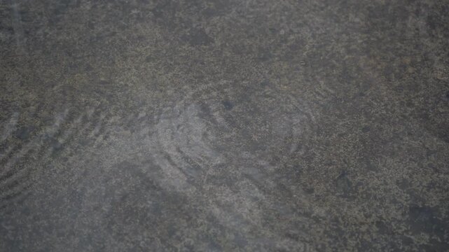 Raindrops make waves like the ocean tide.