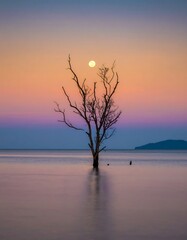 Tranquil sunset over calm water