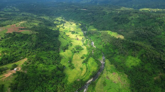 A high forward aerial of a winding river glowing under soft sunlight as it cuts through the lush valley near Quinawan Beach in Bataan, Philippines