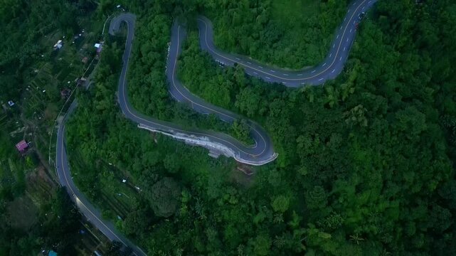 A tilt-down aerial of winding mountain road cutting through dense forest terrain in Tagaytay, Cavite, Philippines