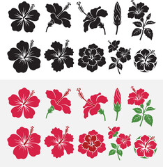 Fototapeta premium hibiscus flower set color & black-white silhouette vector illustration 